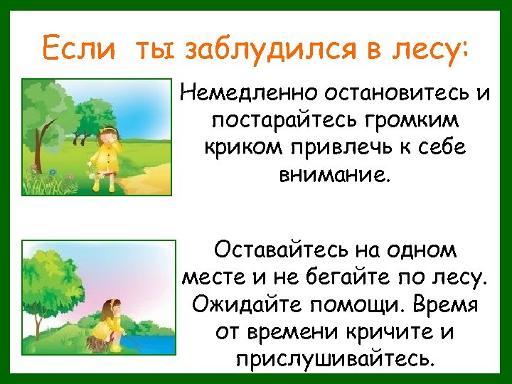 Если ты заблудился в лесу: Немедленно остановитесь и постарайтесь громким криком привлечь к себе