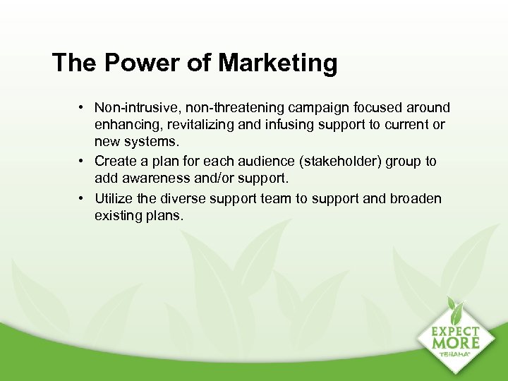 The Power of Marketing • Non-intrusive, non-threatening campaign focused around enhancing, revitalizing and infusing