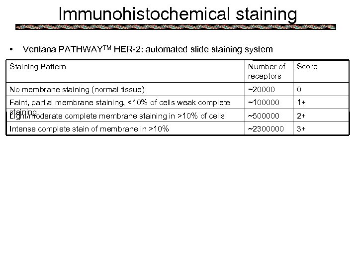 Immunohistochemical staining • Ventana PATHWAYTM HER-2: automated slide staining system Staining Pattern Number of