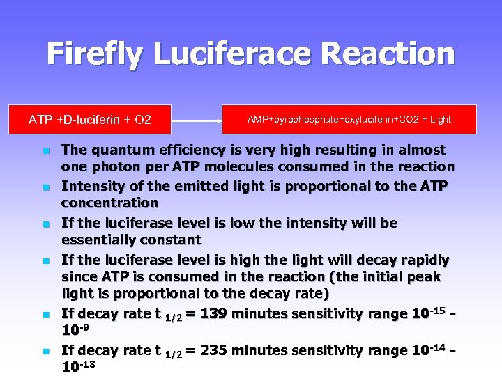 Firefly Luciferace Reaction ATP +D-luciferin + O 2 n n n AMP+pyrophosphate+oxyluciferin+CO 2 +