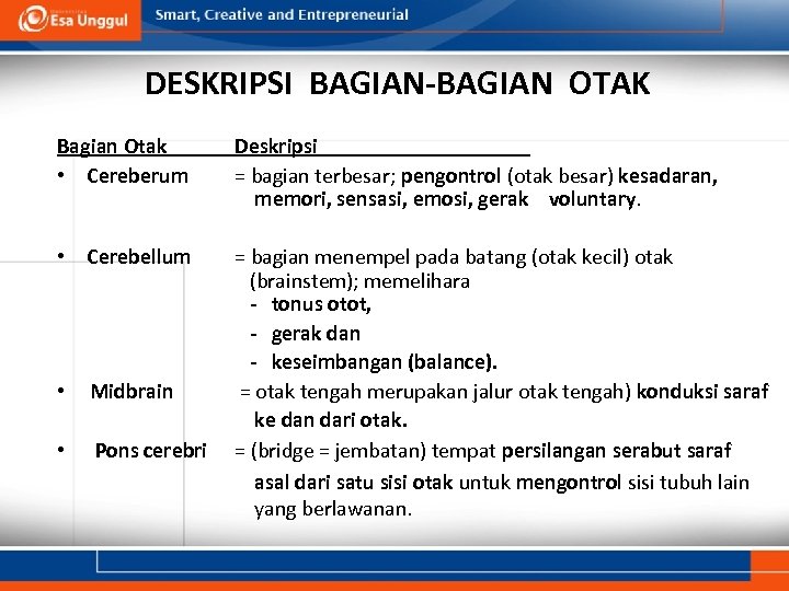 DESKRIPSI BAGIAN-BAGIAN OTAK Bagian Otak • Cereberum Deskripsi = bagian terbesar; pengontrol (otak besar)