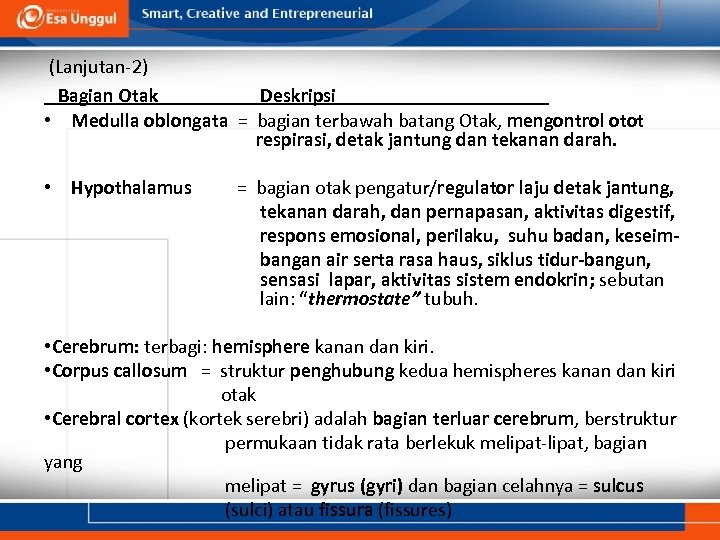 (Lanjutan-2) Bagian Otak Deskripsi • Medulla oblongata = bagian terbawah batang Otak, mengontrol otot