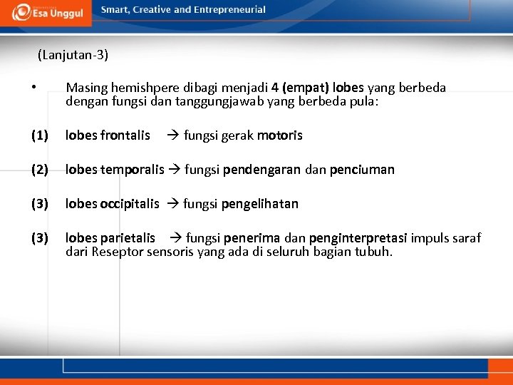 (Lanjutan-3) • Masing hemishpere dibagi menjadi 4 (empat) lobes yang berbeda dengan fungsi dan