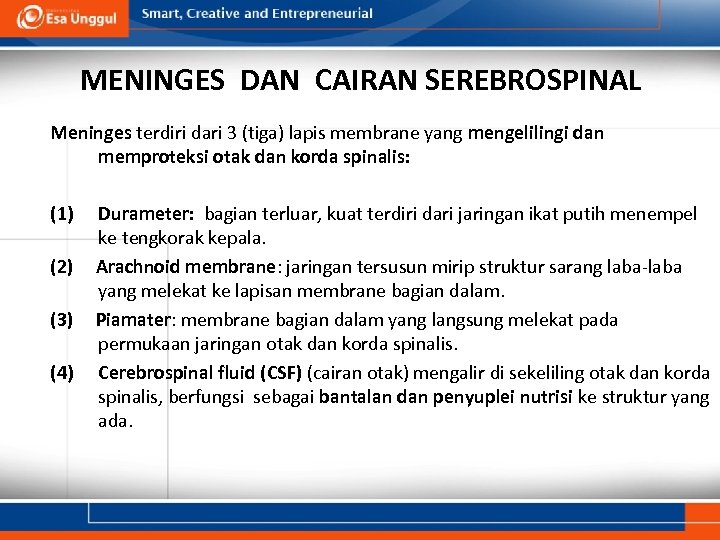 MENINGES DAN CAIRAN SEREBROSPINAL Meninges terdiri dari 3 (tiga) lapis membrane yang mengelilingi dan