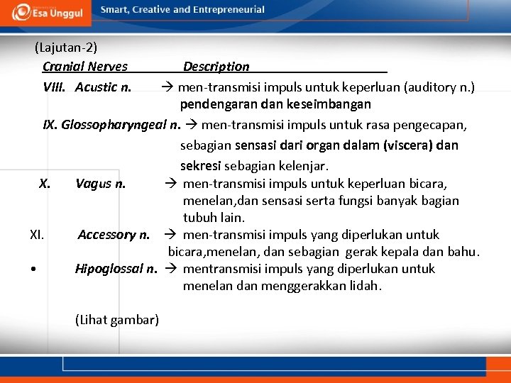 (Lajutan-2) Cranial Nerves VIII. Acustic n. Description men-transmisi impuls untuk keperluan (auditory n. )