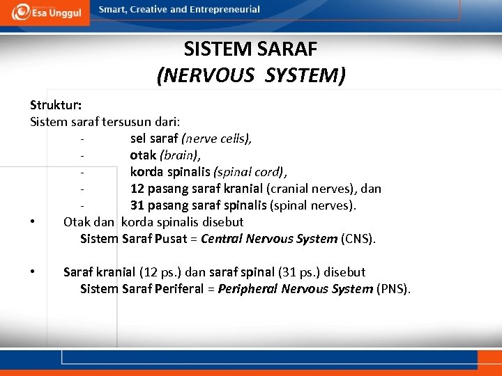 SISTEM SARAF (NERVOUS SYSTEM) Struktur: Sistem saraf tersusun dari: sel saraf (nerve cells), otak