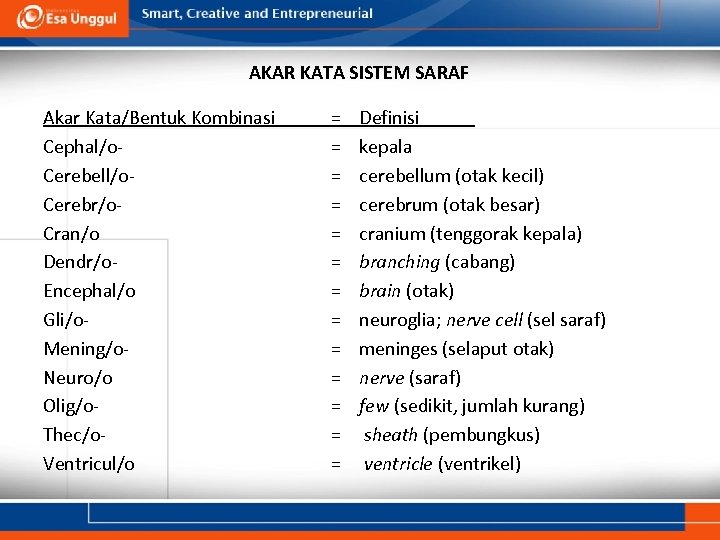 AKAR KATA SISTEM SARAF Akar Kata/Bentuk Kombinasi Cephal/o. Cerebell/o. Cerebr/o. Cran/o Dendr/o. Encephal/o Gli/o.