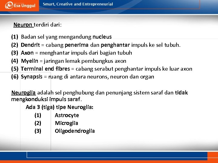 Neuron terdiri dari: (1) (2) (3) (4) (5) (6) Badan sel yang mengandung nucleus