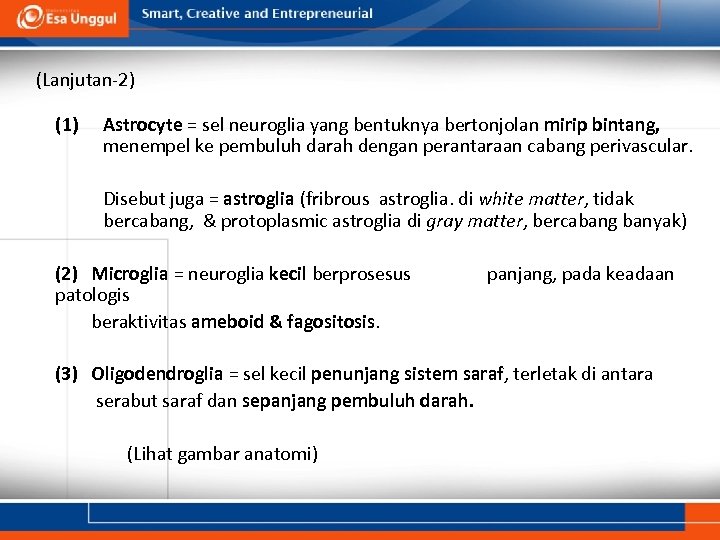 (Lanjutan-2) (1) Astrocyte = sel neuroglia yang bentuknya bertonjolan mirip bintang, menempel ke pembuluh