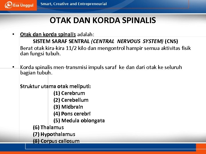 OTAK DAN KORDA SPINALIS • Otak dan korda spinalis adalah: SISTEM SARAF SENTRAL (CENTRAL