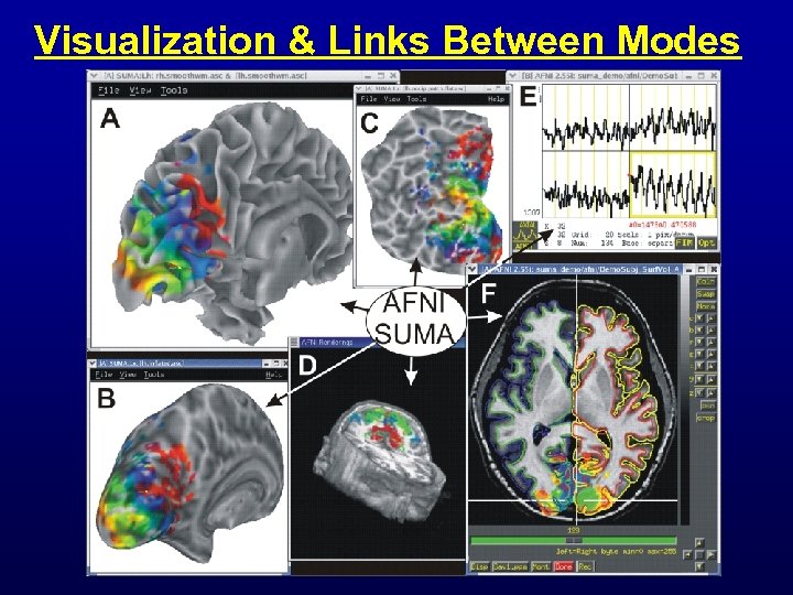 Visualization & Links Between Modes 