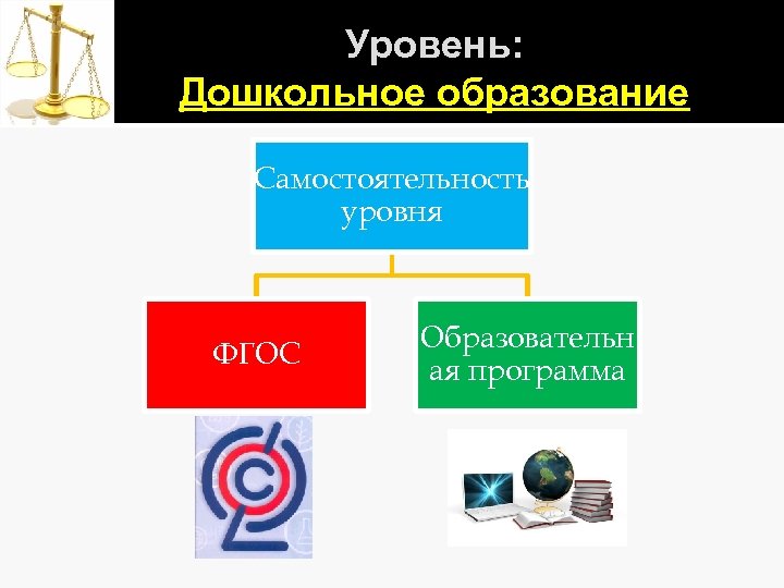 Уровень: Дошкольное образование Самостоятельность уровня ФГОС Образовательн ая программа 