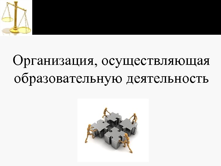 Организация, осуществляющая образовательную деятельность 