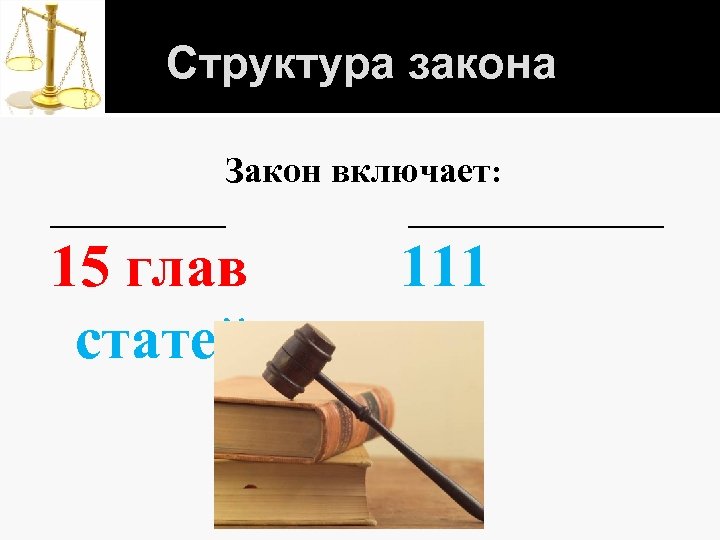 Структура закона Закон включает: ________________ 15 глав статей 111 