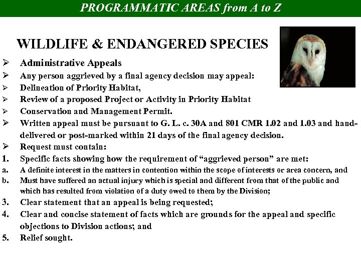 PROGRAMMATIC AREAS from A to Z WILDLIFE & ENDANGERED SPECIES Ø Administrative Appeals Ø