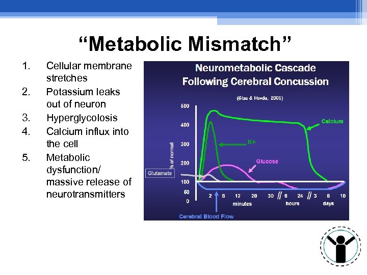 “Metabolic Mismatch” 1. 2. 3. 4. 5. Cellular membrane stretches Potassium leaks out of
