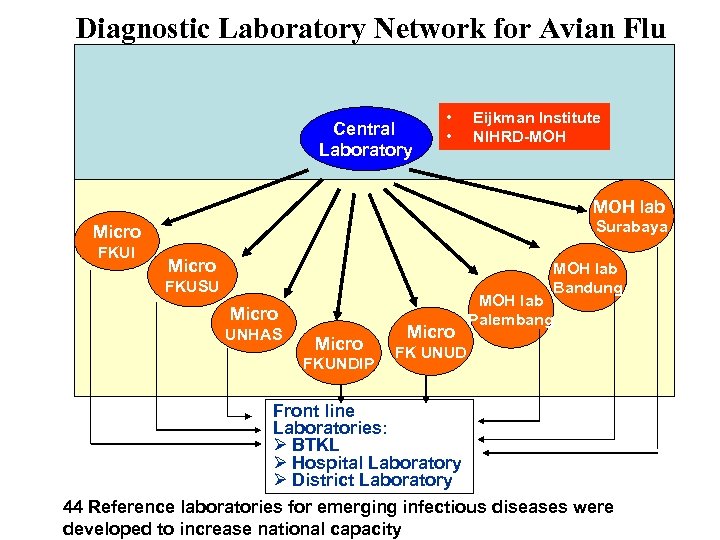 Diagnostic Laboratory Network for Avian Flu Central Laboratory • • Eijkman Institute NIHRD-MOH lab