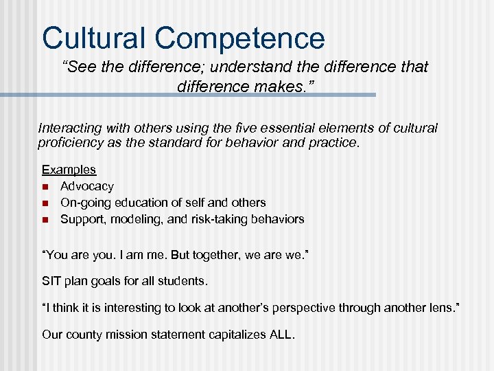 Cultural Competence “See the difference; understand the difference that difference makes. ” Interacting with