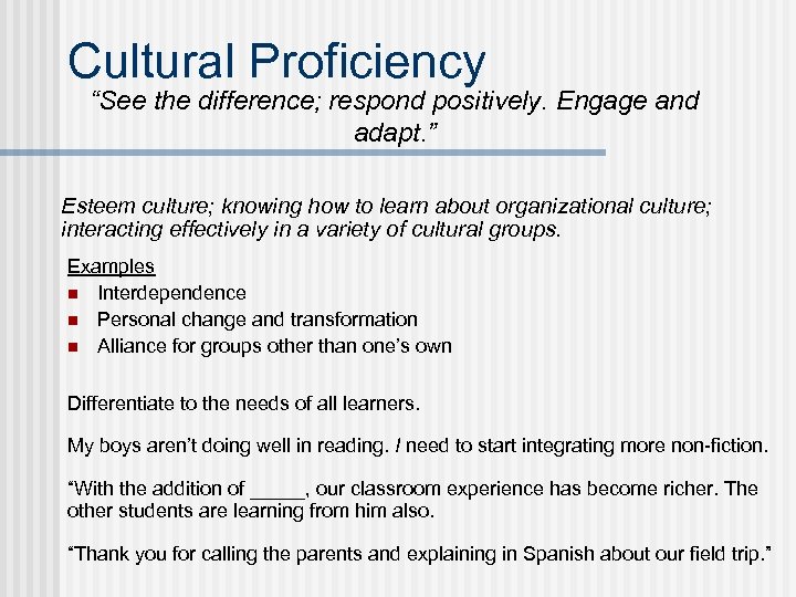 examples-of-cultural-competence