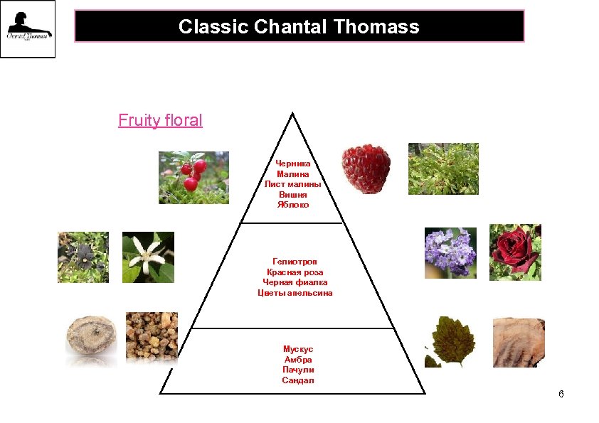 Classic Chantal Thomass Fruity floral Черника Малина Лист малины Вишня Яблоко Гелиотроп Красная роза