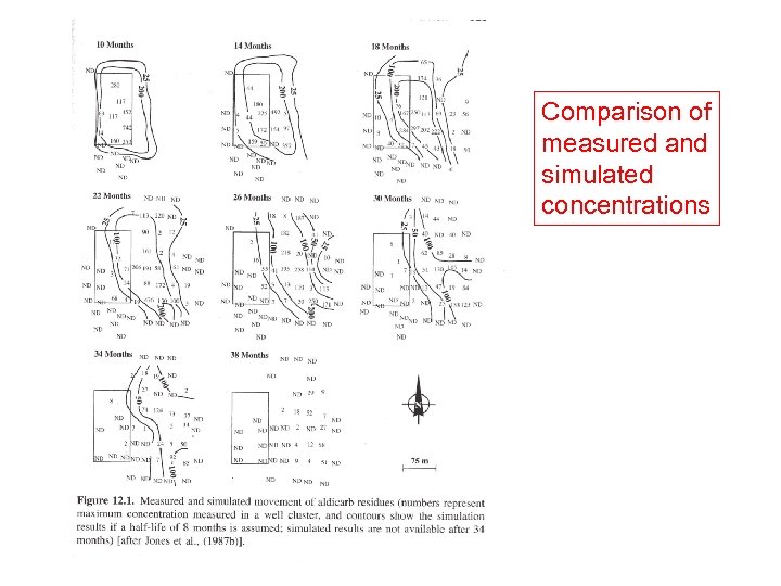 Comparison of measured and simulated concentrations 