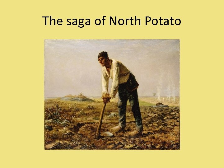 The saga of North Potato 