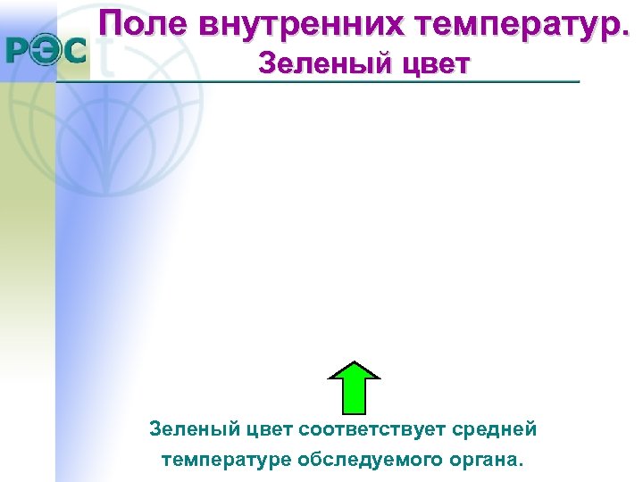 Поле внутренних температур. Зеленый цвет соответствует средней температуре обследуемого органа. 