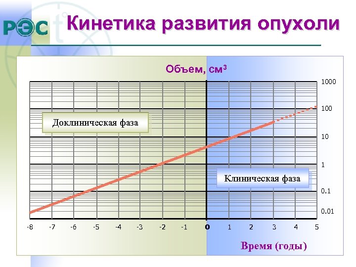 Кинетика развития опухоли Объем, cм 3 1000 100 Доклиническая фаза 10 1 Клиническая фаза