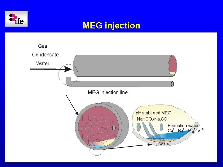 MEG injection 