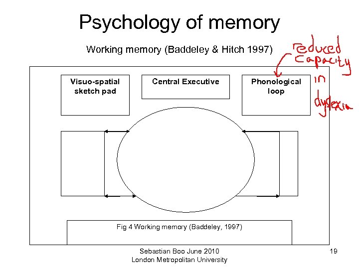 Psychology of memory Working memory (Baddeley & Hitch 1997) Visuo-spatial sketch pad Central Executive
