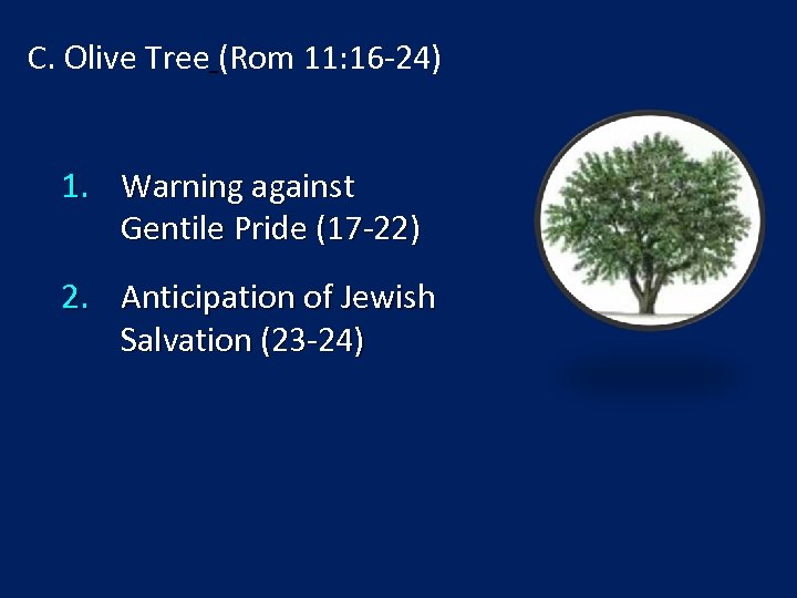 C. Olive Tree (Rom 11: 16 -24) 1. Warning against Gentile Pride (17 -22)