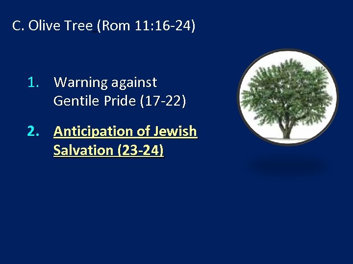 C. Olive Tree (Rom 11: 16 -24) 1. Warning against Gentile Pride (17 -22)