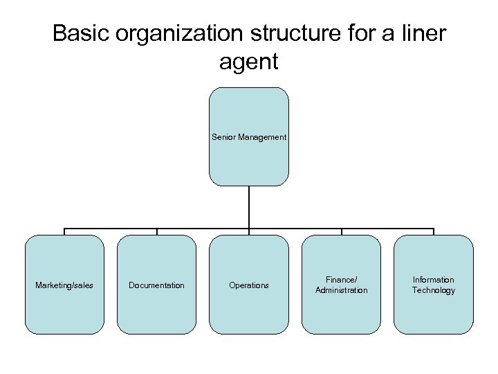 Basic organization structure for a liner agent Senior Management Marketing/sales Documentation Operations Finance/ Administration