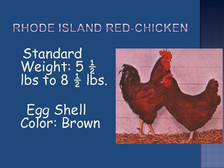  Standard Weight: 5 ½ lbs to 8 ½ lbs. Egg Shell Color: Brown