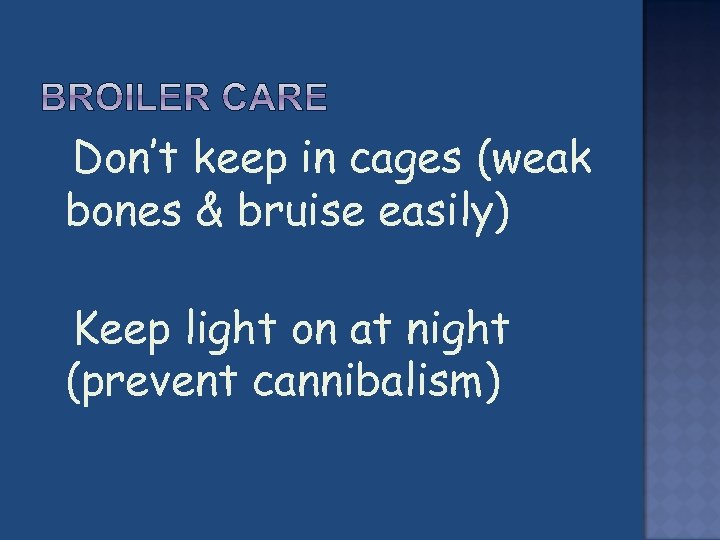  Don’t keep in cages (weak bones & bruise easily) Keep light on at