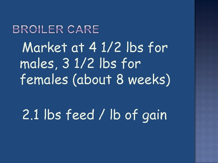  Market at 4 1/2 lbs for males, 3 1/2 lbs for females (about