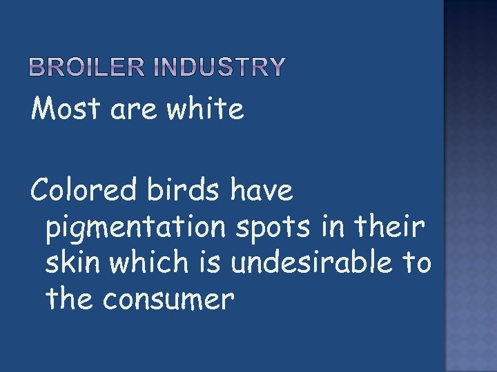Most are white Colored birds have pigmentation spots in their skin which is undesirable