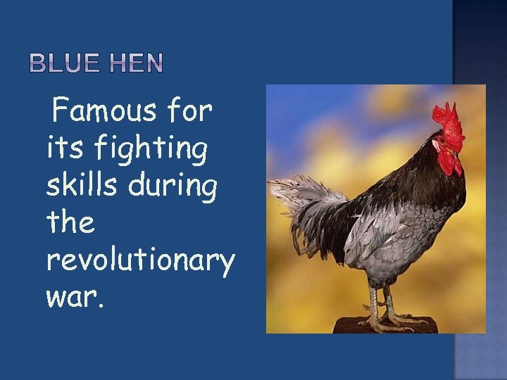  Famous for its fighting skills during the revolutionary war. 