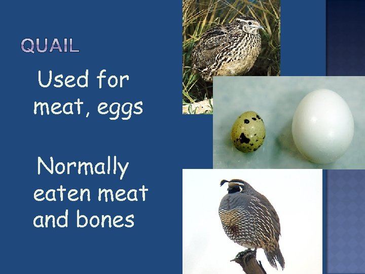  Used for meat, eggs Normally eaten meat and bones 