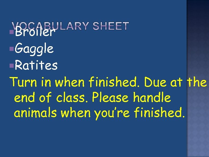 Broiler Gaggle Ratites Turn in when finished. Due at the end of class.