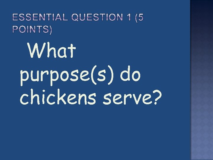  What purpose(s) do chickens serve? 