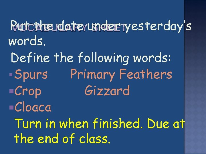  Put the date under yesterday’s words. Define the following words: § Spurs Primary