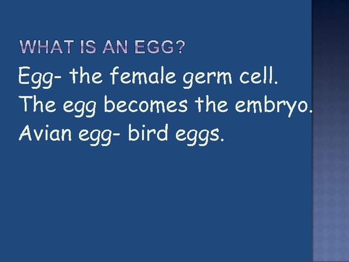  Egg- the female germ cell. The egg becomes the embryo. Avian egg- bird