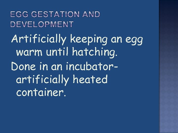 Artificially keeping an egg warm until hatching. Done in an incubatorartificially heated container. 