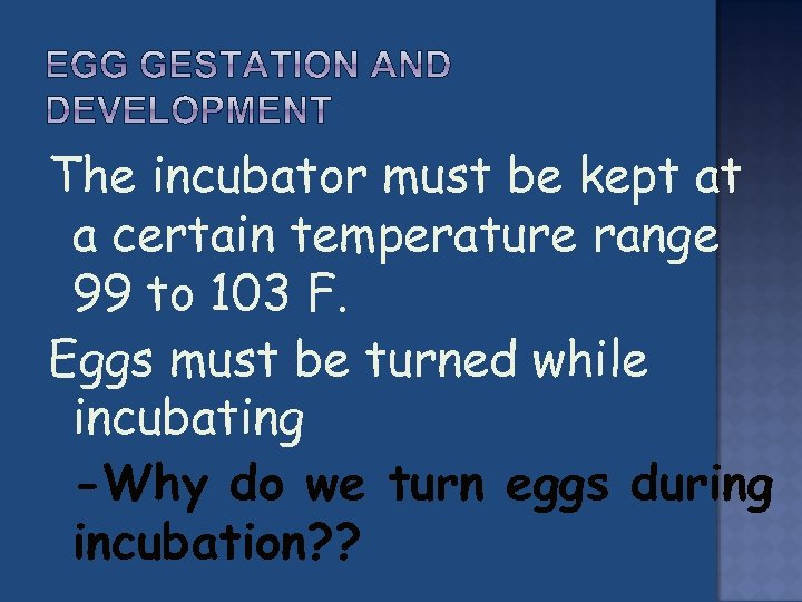 The incubator must be kept at a certain temperature range 99 to 103 F.