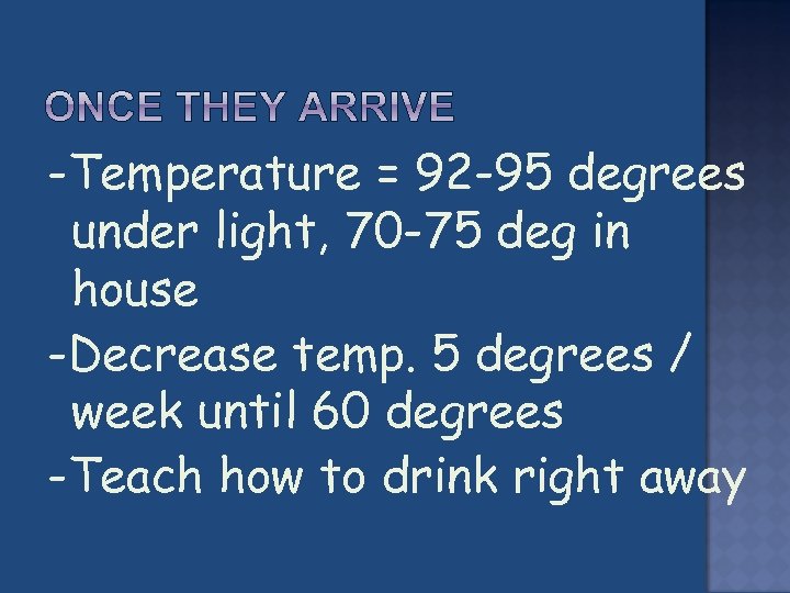 -Temperature = 92 -95 degrees under light, 70 -75 deg in house -Decrease temp.