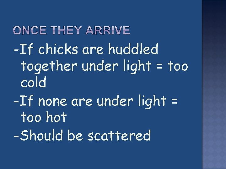 -If chicks are huddled together under light = too cold -If none are under