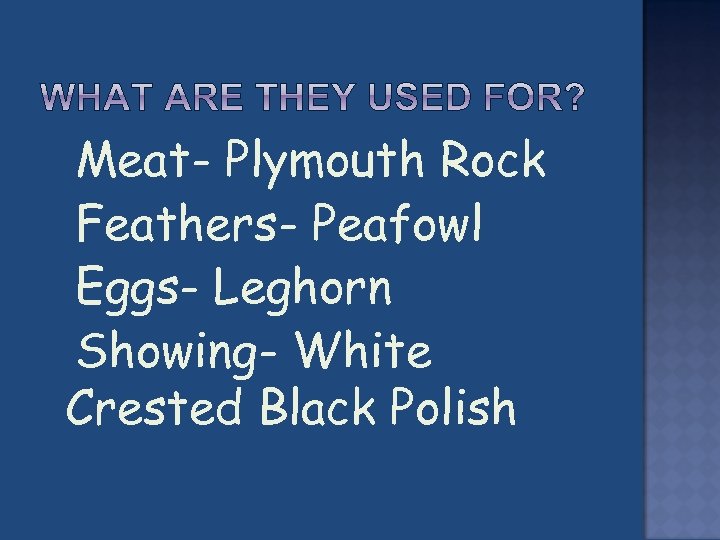  Meat- Plymouth Rock Feathers- Peafowl Eggs- Leghorn Showing- White Crested Black Polish 