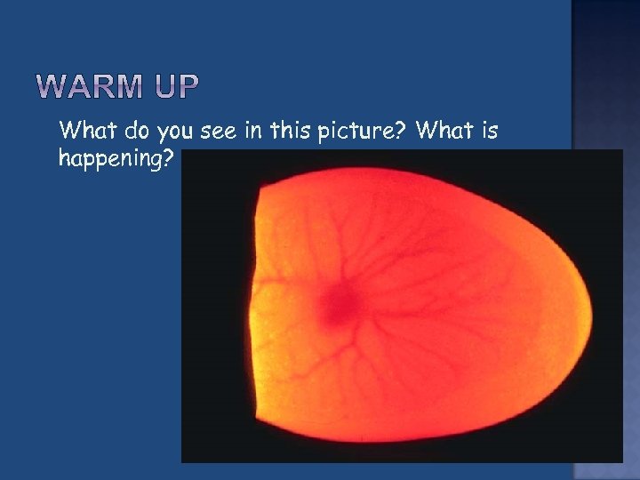  What do you see in this picture? What is happening? 