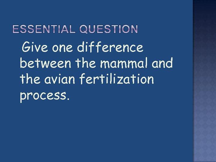  Give one difference between the mammal and the avian fertilization process. 
